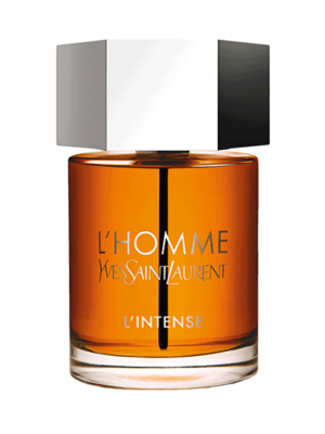 L'HOMME L'INTENSE