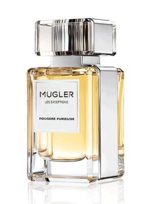 FOUGERE FURIEUSE