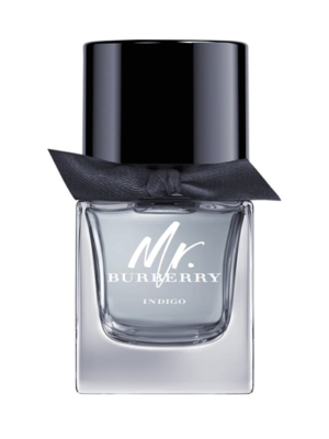 MR. BURBERRY INDIGO