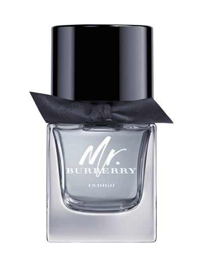 MR. BURBERRY INDIGO
