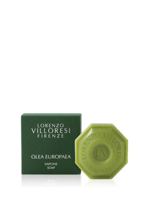 OLEA EUROPAEA